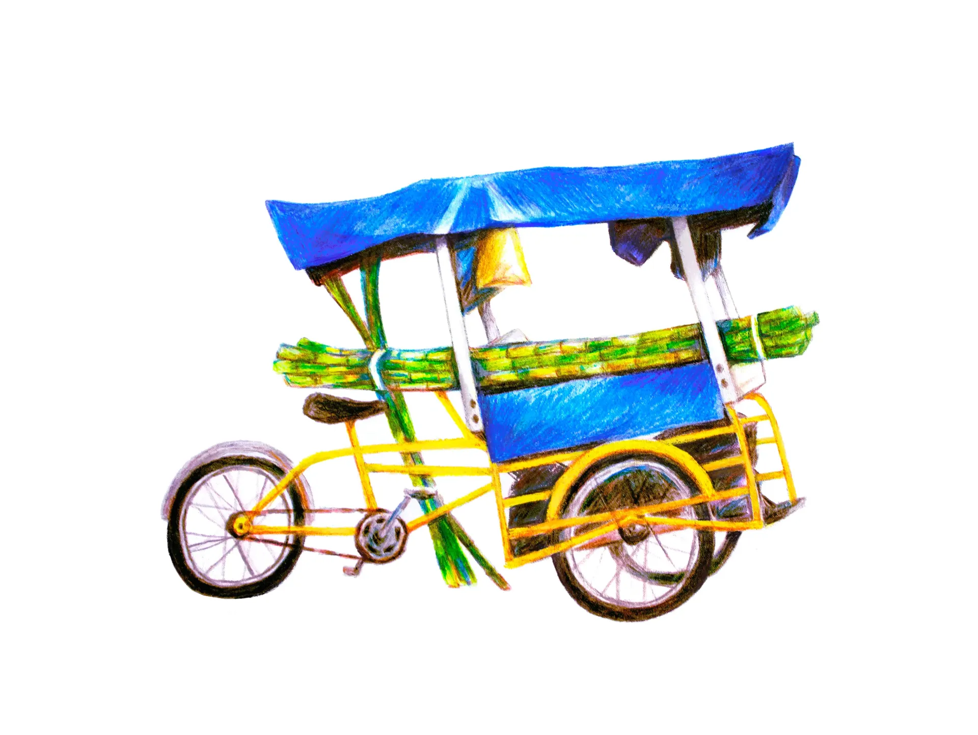 JAVIER DRAWINGS "CARRITO DE CAÑAS" ENMARCADO